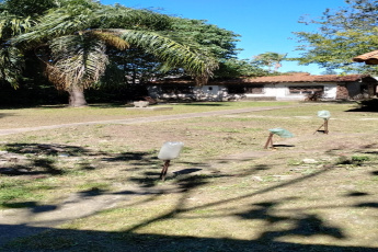 Noguera 933, Merlo, San Antonio de Padua, ,Terreno,En Venta,Noguera 933,1333