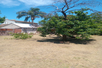 Alberdi al 600, Merlo, San Antonio de Padua, ,Terreno,En Venta,Alberdi al 600,1350