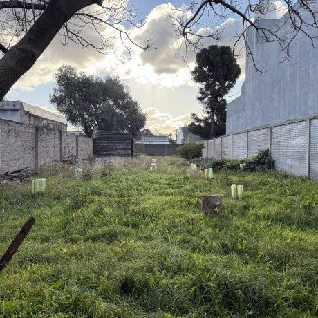 Los Aromos 247, Merlo, San Antonio de Padua, ,Terreno,En Venta,Los Aromos 247,1398